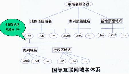 cn域名机构（域名机构划分）-图1