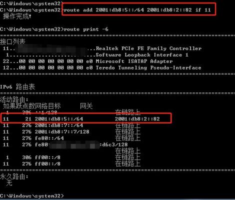 ipv6服务器租用（怎样用ipv6搭建自用服务器）-图1