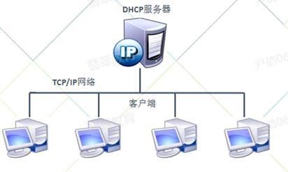 ipv6服务器租用（怎样用ipv6搭建自用服务器）-图3