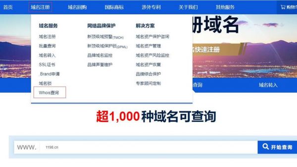 怎么查询域名归属哪家企业（怎么看域名归属人）-图1