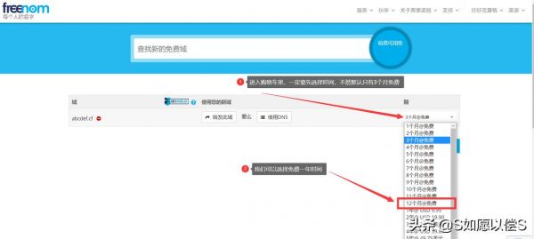 个人怎么免费域名申请（免费域名空间申请网址）-图2