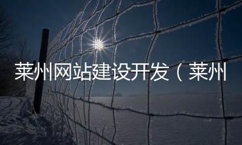 莱州哪里有学网页设计的（莱州网站制作）-图3