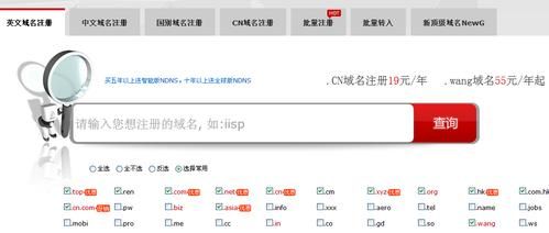 专业域名注册（最全的域名注册）-图1