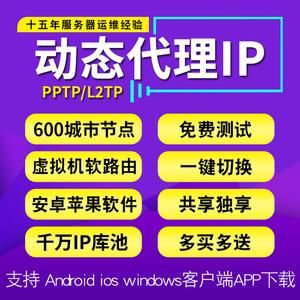 vps代理服务器（vps搭建代理ip）-图3