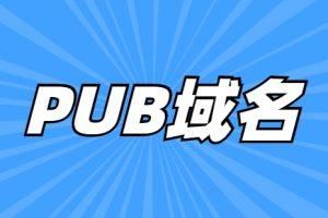 pub域名续费（pub域名注册）-图1