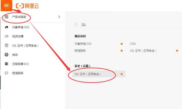 登录阿里云怎么查域名（阿里云怎么查域名证书）-图2