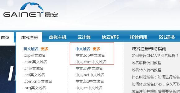 中文域名如何访问（如何买中文域名）-图1