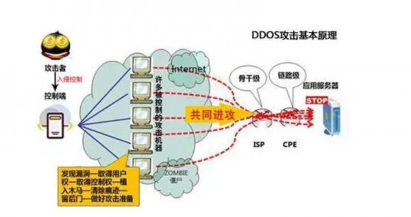 ddos服务器（服务器的ddos防御）-图3