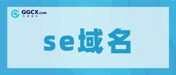 .se是哪里的域名的简单介绍-图2