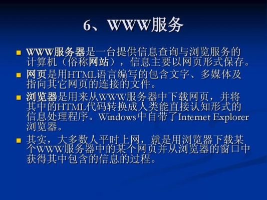关于服务器www的信息-图2