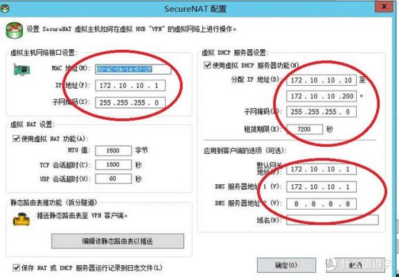 vps怎么分配独立ip（vps 教程）-图1