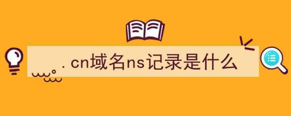 cn域名ns记录怎么查看（cn域名多少钱一年）-图1