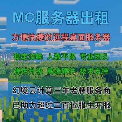 mc服务器在那租（minecraft租服务器）-图2