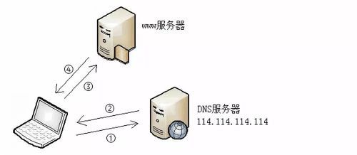 网络服务器是指（ip服务器）-图2