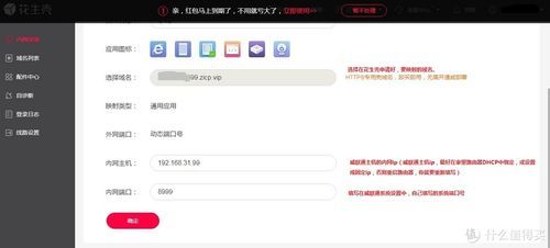 花生壳ip怎么设置（花生壳设置ddns）-图3