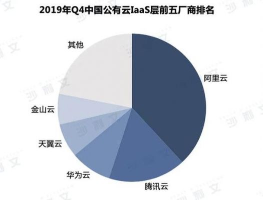 国内云服务器商（国内云服务器厂商）-图1