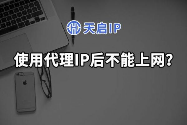 外国代理服务器怎么用（国外代理服务器ip免费）-图3