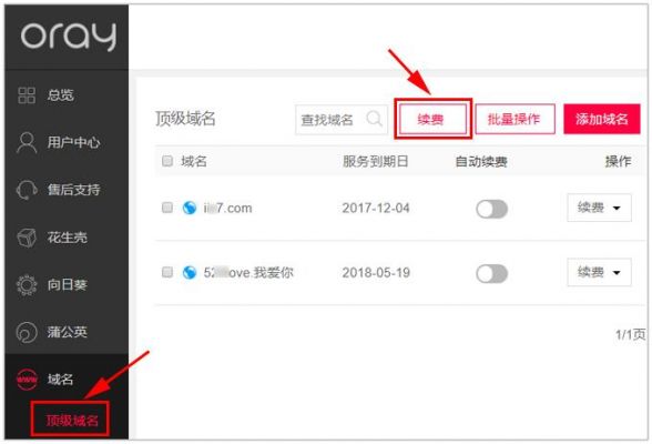 怎么自己续费域名（网站怎么续费域名）-图1