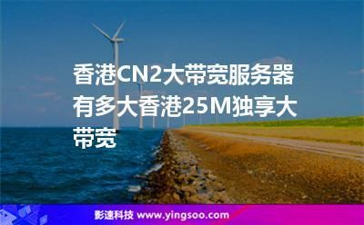 2m带宽香港服务器速度怎么样（香港cn2有多大带宽）-图2