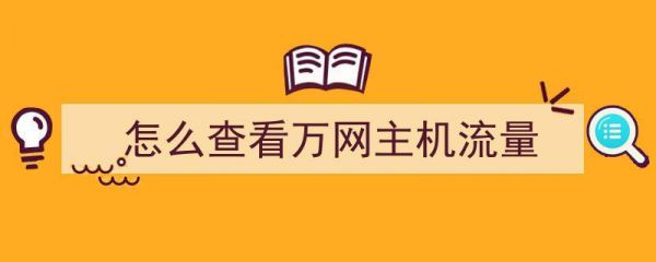 关于怎么查看万网主机流量的信息-图1