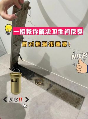 卫生间墙排反味怎么办（卫生间臭好像是墙壁臭）-图2