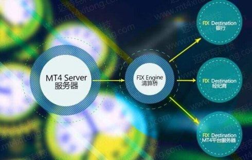 mt4服务器出租（mt4服务器租用）-图3