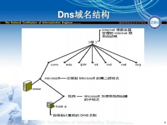 dns服务器域名（dns域名服务器的作用）-图1