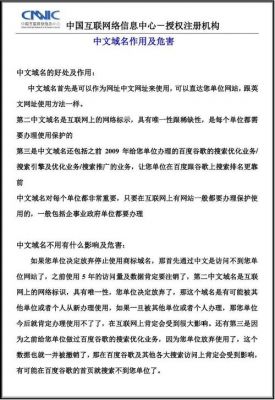 中文域名的问题（中文域名有什么弊端吗）-图3