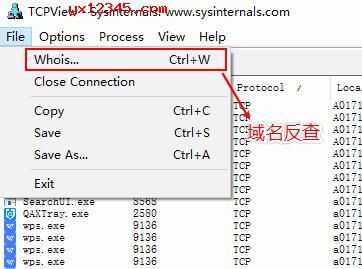 关于whois接口怎么更稳定的信息-图1