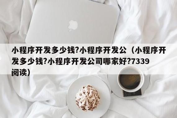 广东小程序开发公司哪里强（小程序广州开发公司）-图2