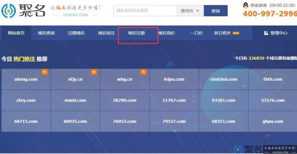 怎么养域名（养域名能否赚钱）-图2