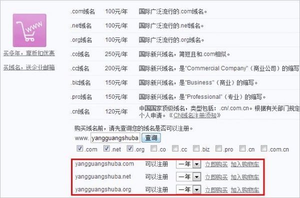 有域名之后怎么做网站（有域名以后怎么建设网站）-图1