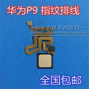 华为p9指纹（华为p9指纹排线更换视频）-图2