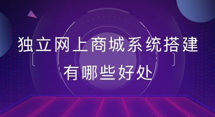 独立商城建设在哪里比较好的简单介绍-图1