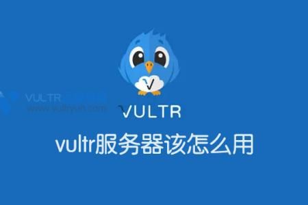 vultr服务器贵吗（vultr哪个服务器好）-图3