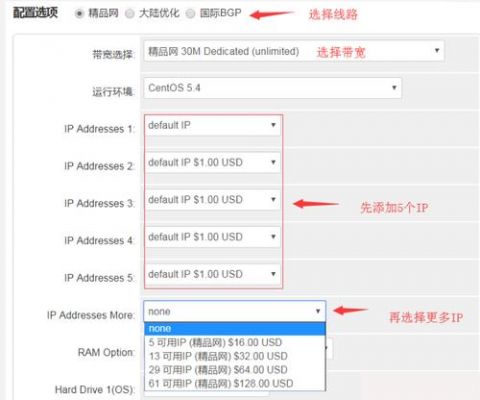 站群服务器c（站群服务器查看里面ip）-图1