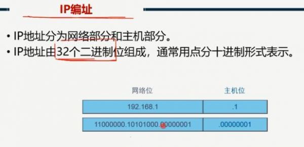 站群服务器c（站群服务器查看里面ip）-图2