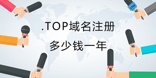 .top域名贵吗（top域名注册价格）-图3