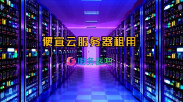 怎么租用服务器建设网站（租了服务器怎么搭建网站）-图1