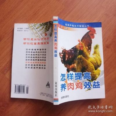 怎么调用肉鸡服务器（肉鸡模式是什么意思）-图2