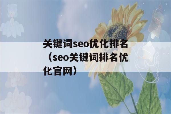 开封哪里有关键词排名费用（开封知名seo哪家好）-图2