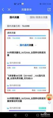 香港怎么查流量的（香港手机查流量）-图1