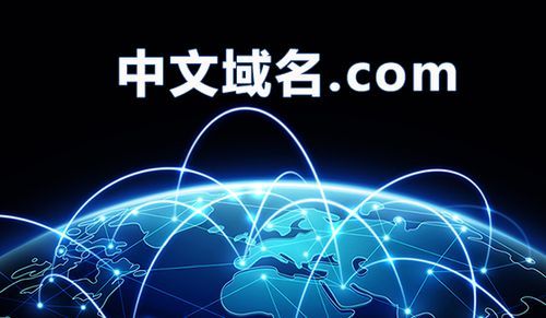 使用中文域名的网站（中文域名有什么弊端吗）-图2