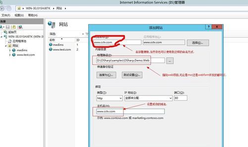 IIS怎么更改公网域名（iis 默认网站）-图2