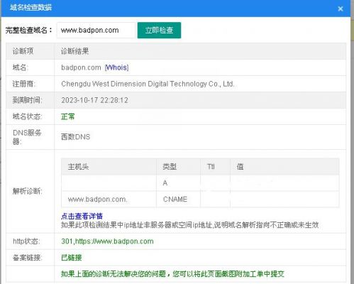 域名怎么样诊断（域名怎么样诊断出来）-图1