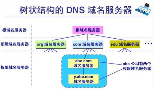 信息系统域名（域名系统的原理）-图1