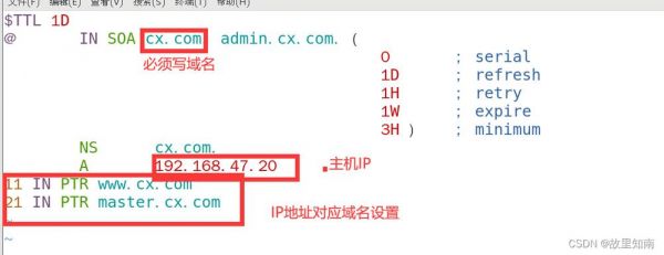 dns域名解析怎么设置（dns域名解析配置）-图3