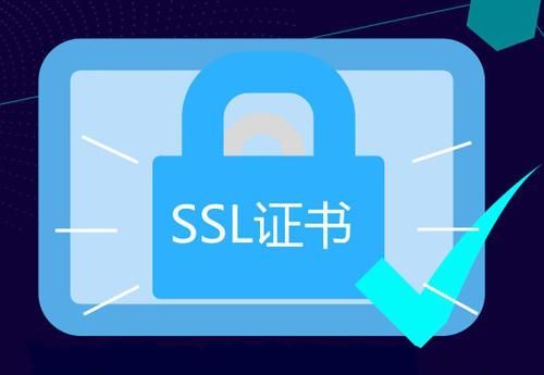 ssl证书域名查询（ssl证书安装）-图2