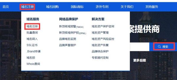 网站域名注册去哪里（香港域名注册网站）-图3