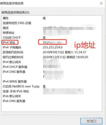 只知域名怎么查ip（知道域名如何查ip）-图2